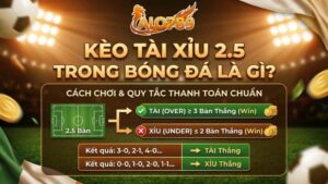 Kèo Tài Xỉu 2.5 Trong Bóng Đá Là Gì Cách Chơi & Quy Tắc Thanh Toán Chuẩn