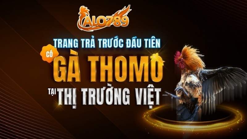 ALO789 🐓 TRANG CHỦ ALO789.COM - NHÀ CÁI ĐÁ GÀ THOMO UY TÍN
