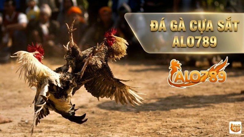 Đá Gà Cựa Sắt tại ALO789
