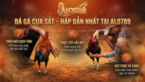 Đá gà cựa sắt - Hình thức hấp dẫn nhất tại Đá Gà ALO789