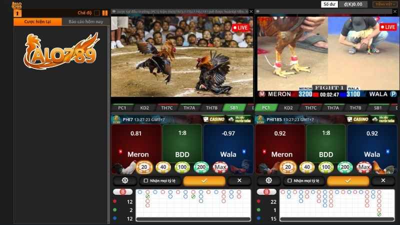 Đá Gà Trực Tuyến đầy đủ các bồ gà đang có trên thị trường