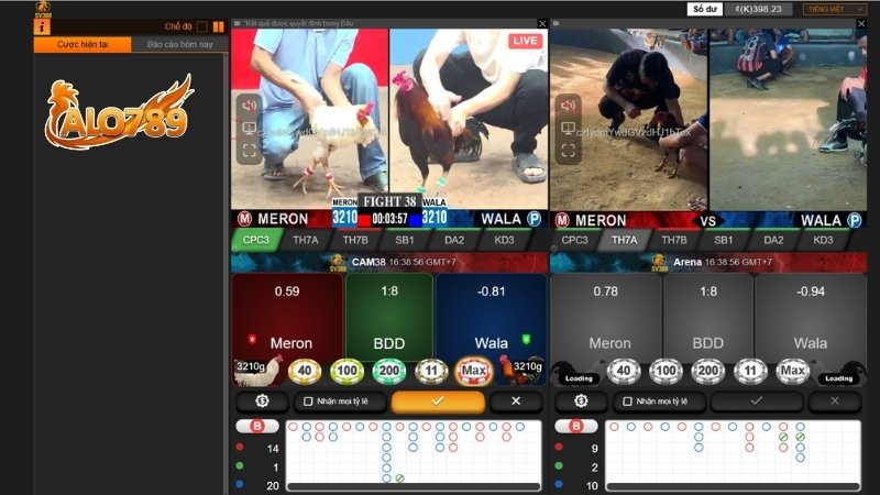 Giao diện Đá Gà ALO789 chuyên nghiệp, tích hợp livestream HD từ các trường gà quốc tế.