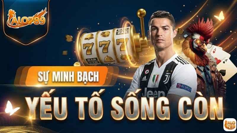 Thương hiệu uy tín, pháp lý minh bạch